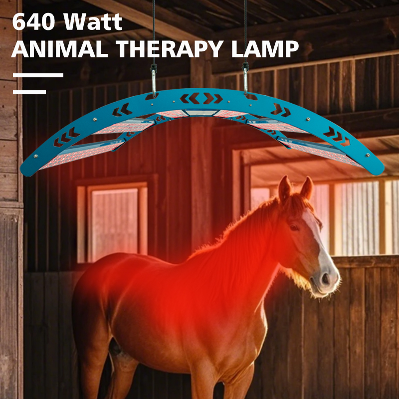 640 واط 516 مصباح LED 30 °   ج - مراجعة Woodworking Therapy وسعره